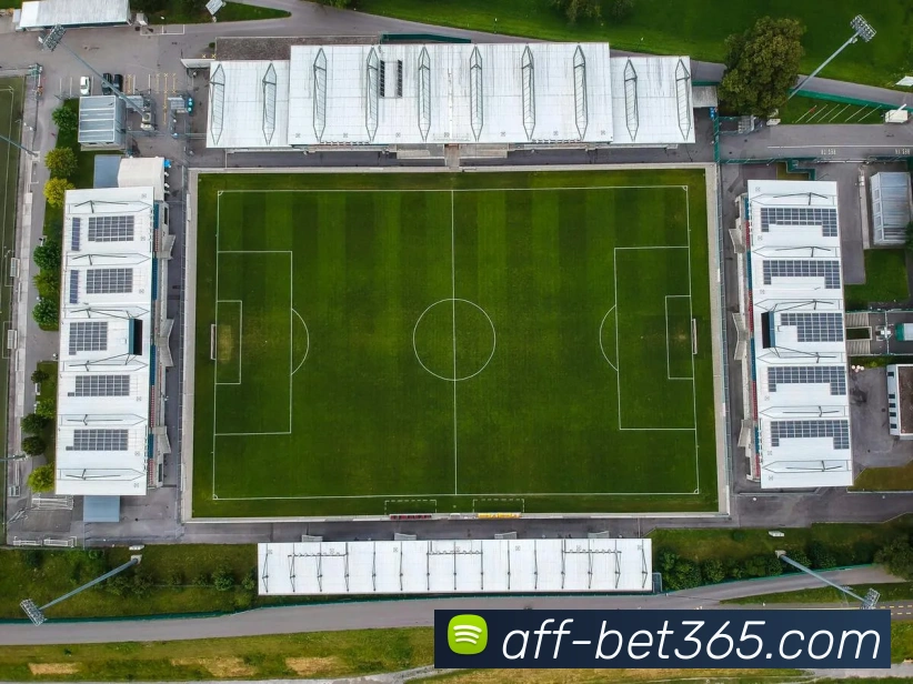 bet365平台生态图